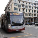 TPL Linea