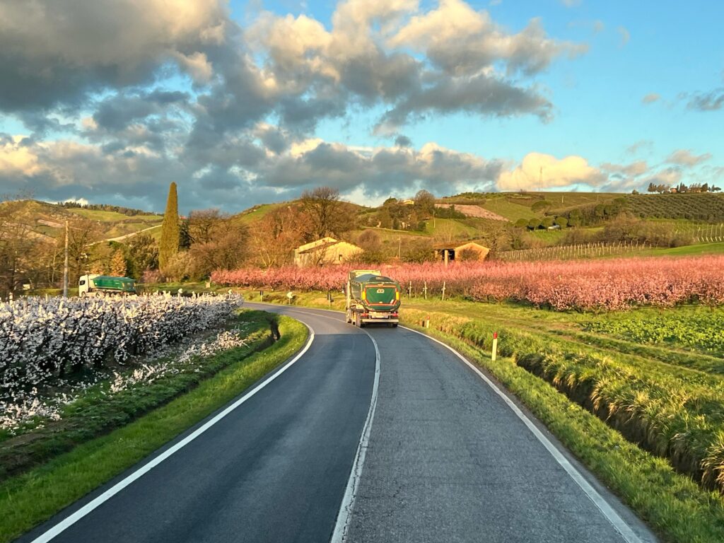 Scandipadova: l'artiglio del Grifone rimette a posto la natura 2