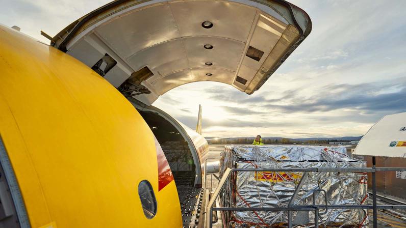 DHL lancia un nuovo servizio per la dogana USA dedicato agli importatori e-commerce 1 DHL_dogana USA