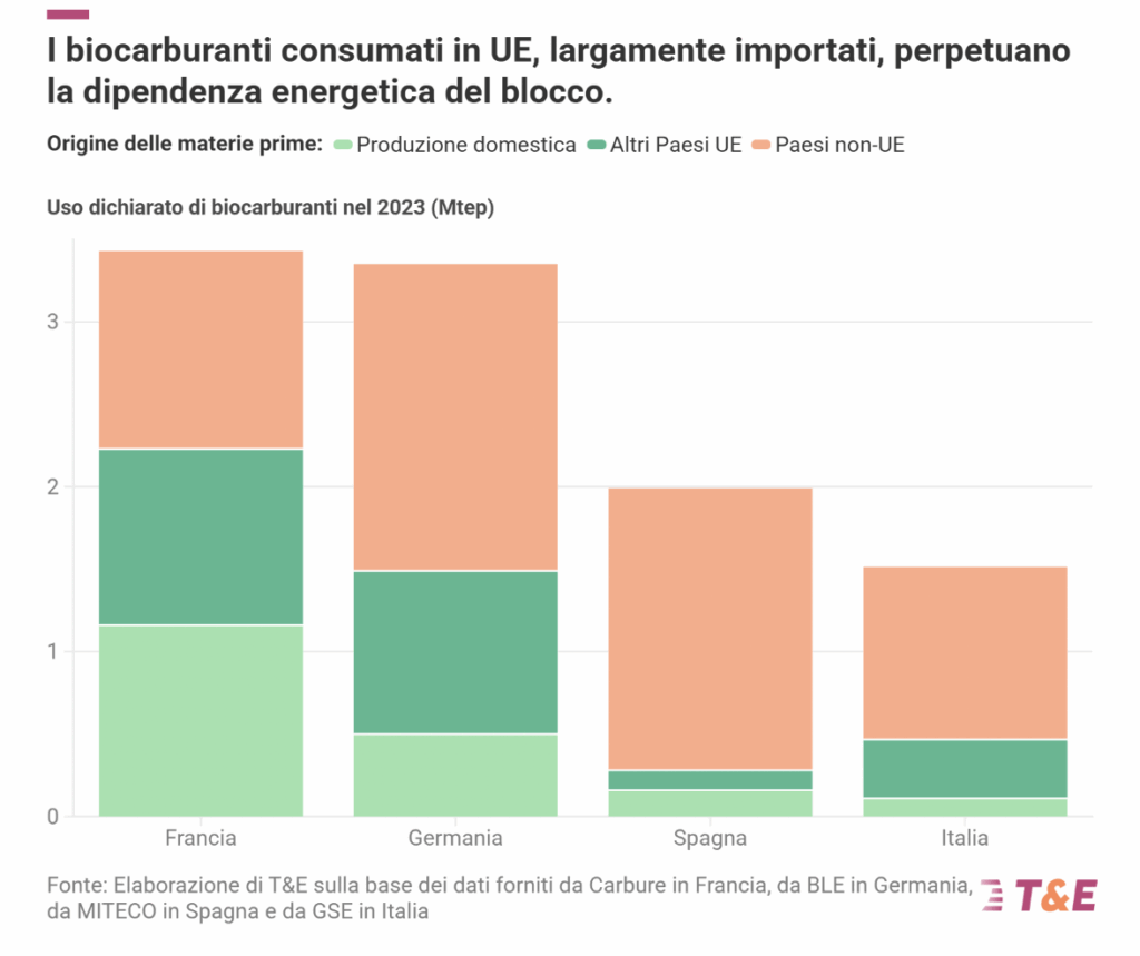 Biocarburanti sostenibili, l’industria chiede più spazio: il report di Transport & Environment solleva dubbi 3